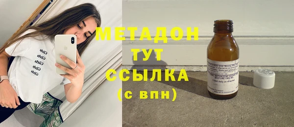 сатива Новозыбков