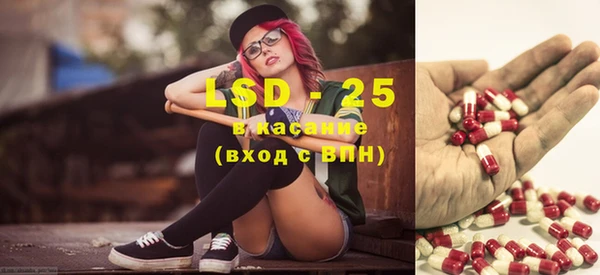 сатива Новозыбков