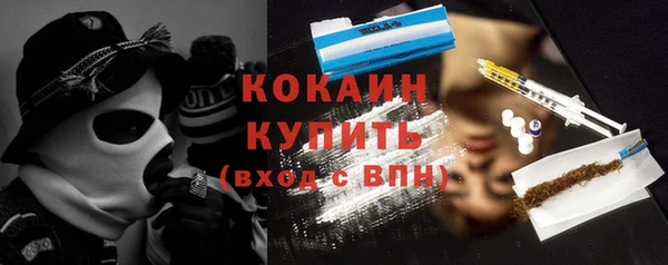 сатива Новозыбков