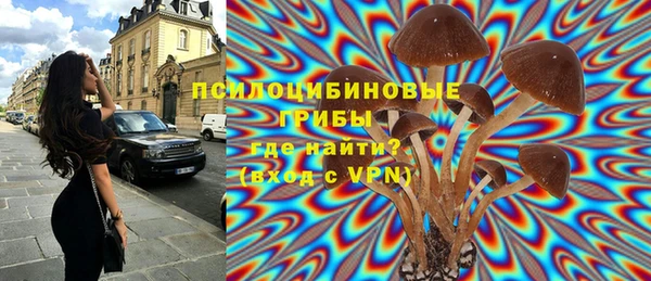 прущие крисы Новокубанск