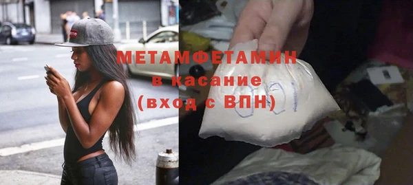 сатива Новозыбков