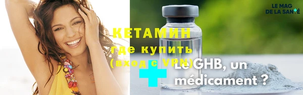 сатива Новозыбков