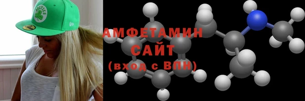 сатива Новозыбков