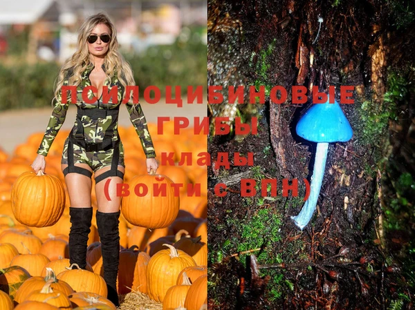 хмурый Новодвинск