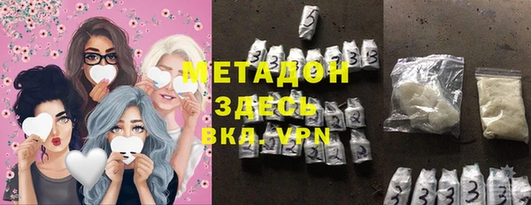 сатива Новозыбков