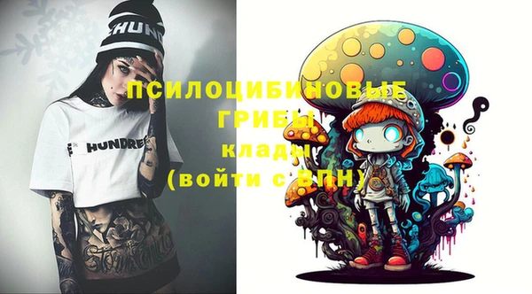 прущие крисы Новокубанск