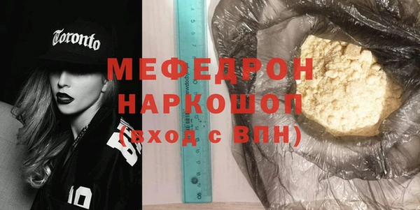 сатива Новозыбков