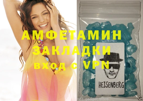 сатива Новозыбков
