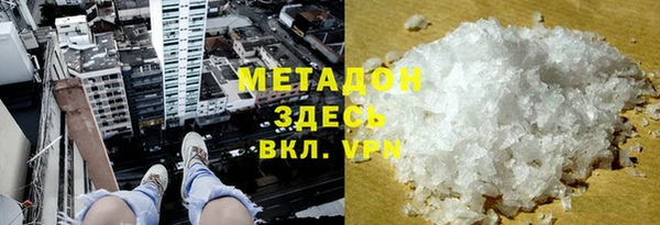 сатива Новозыбков