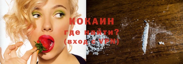сатива Новозыбков