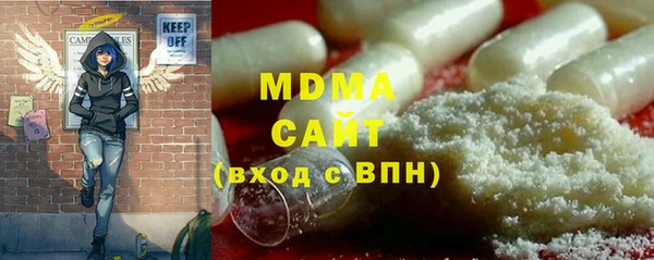 сатива Новозыбков