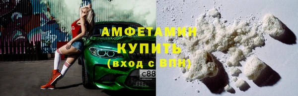 сатива Новозыбков