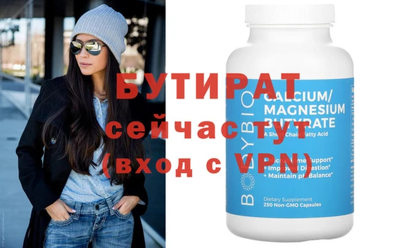 сатива Новозыбков