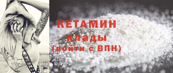 сатива Новозыбков